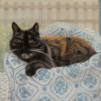 My 20 years old Urania