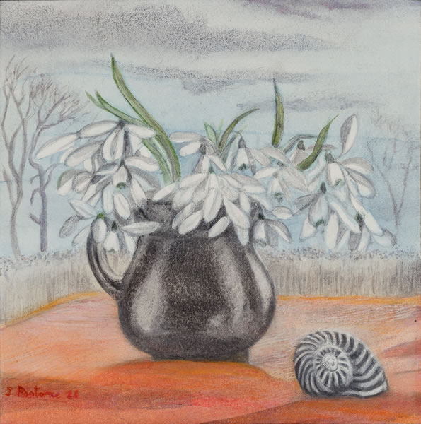 Snowdrops with black and white shell